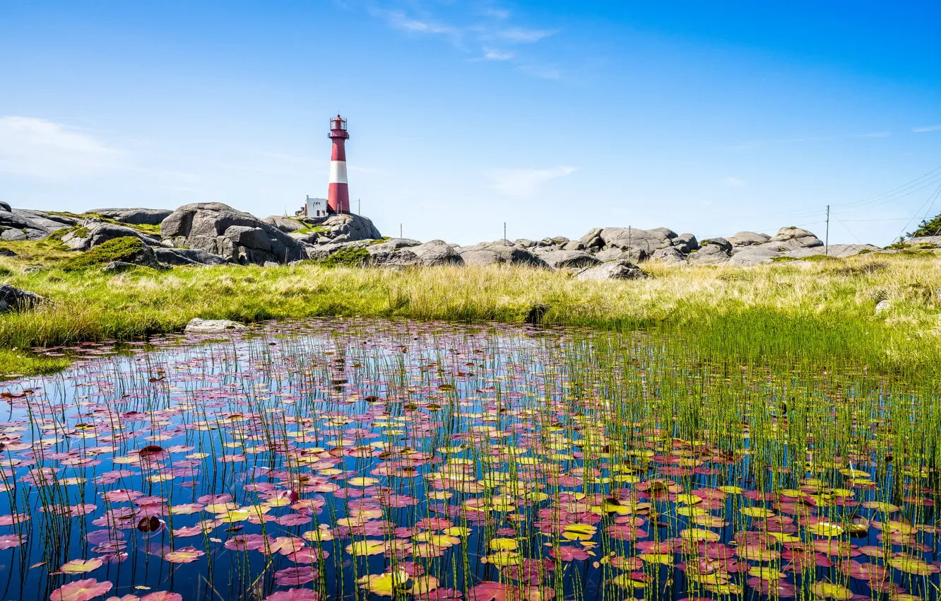 Фото обои summer, sky, lighthouse, pond