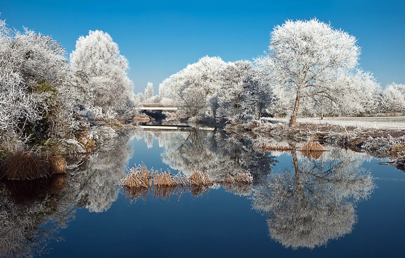 Фото обои зима, иней, деревья, природа, озеро, пруд, парк, отражение