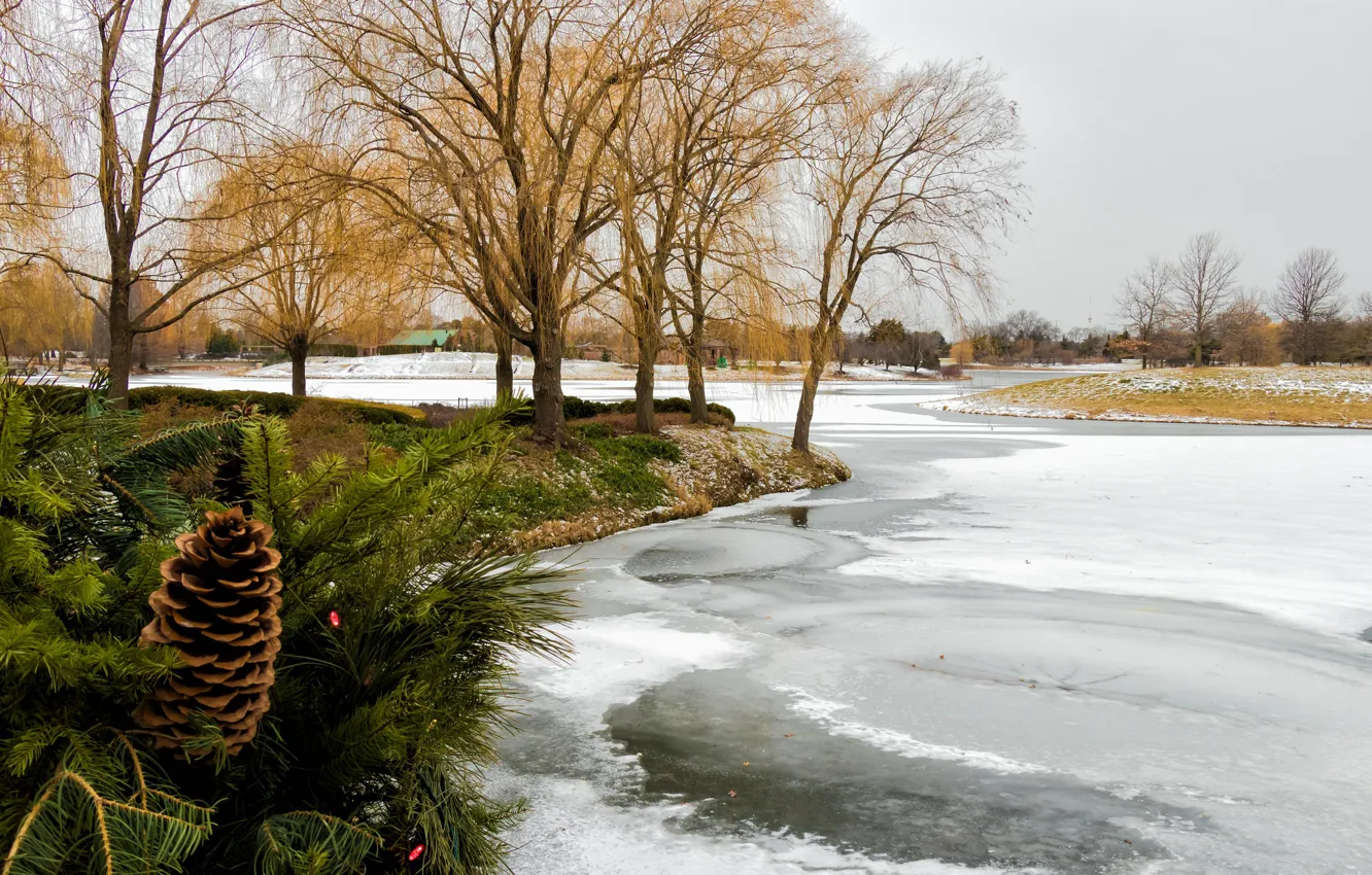 Фото обои зима, деревья, лёд