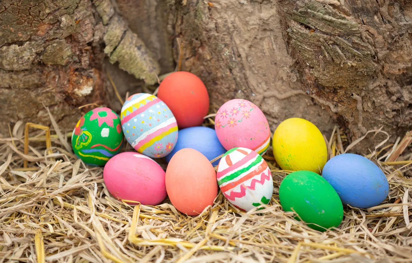 Фото обои яйца, весна, colorful, Пасха, happy, spring, Easter, крашеные