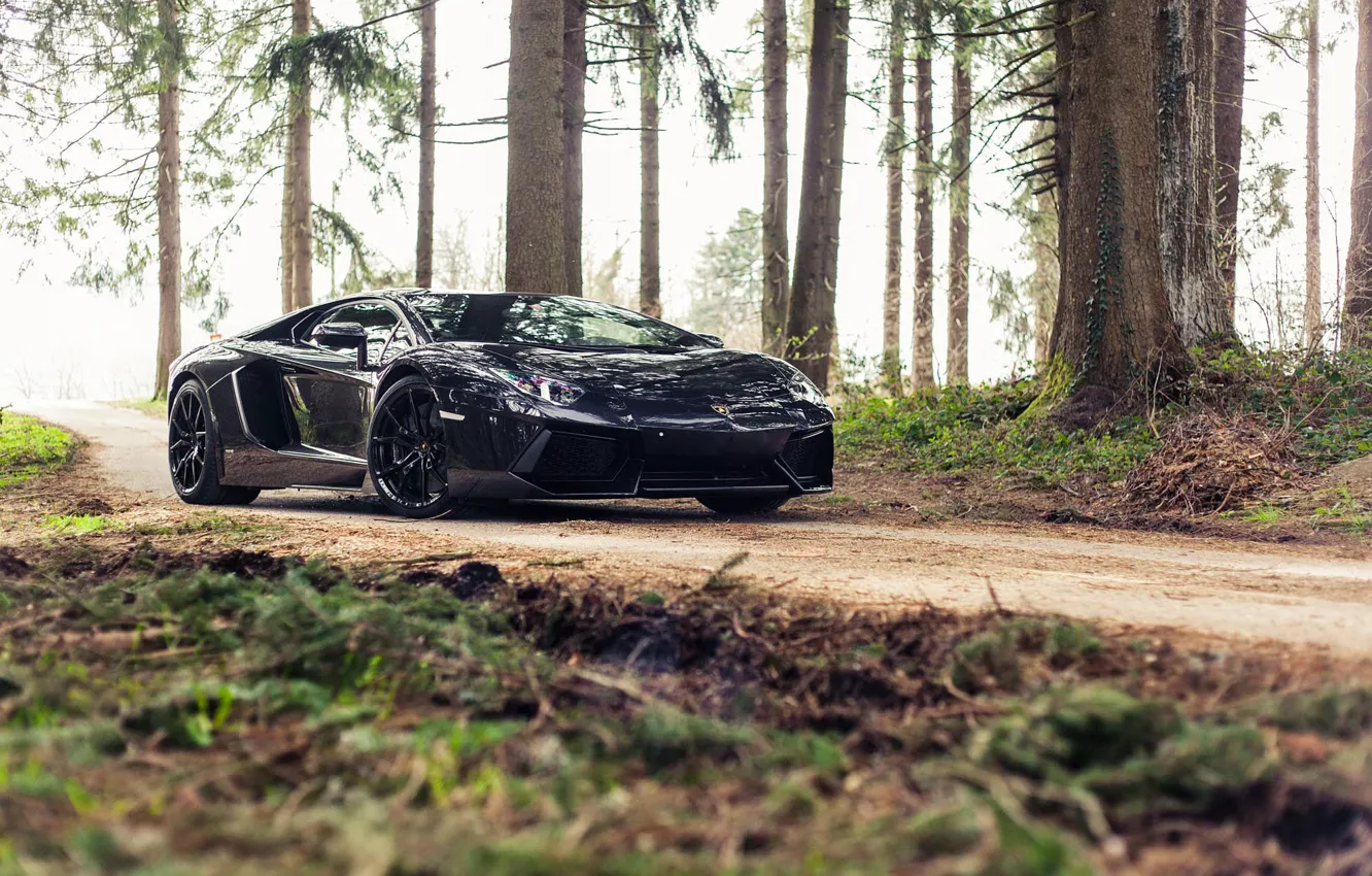 Фото обои Lamborghini, Black, Aventador, Forest, Woods