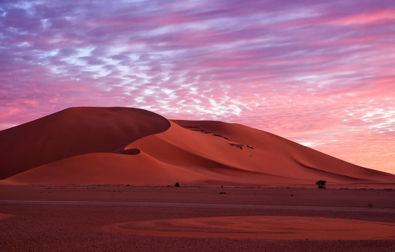 Фото обои песок, небо, облака, природа, пустыня, вечер, утро, дюны
