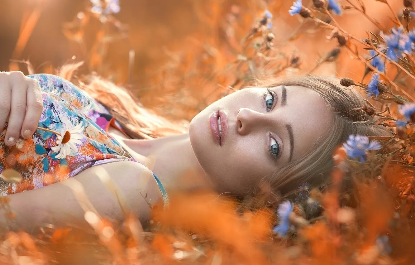 Фото обои взгляд, девушка, цветы, лицо, настроение, ромашка, васильки, Виктор Переверзев