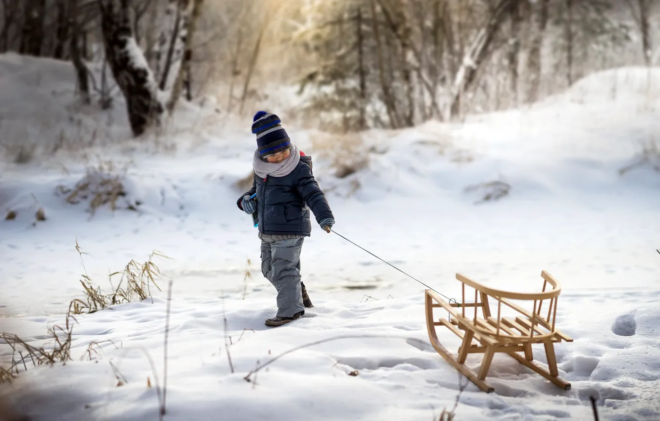 Фото обои зима, мальчик, санки