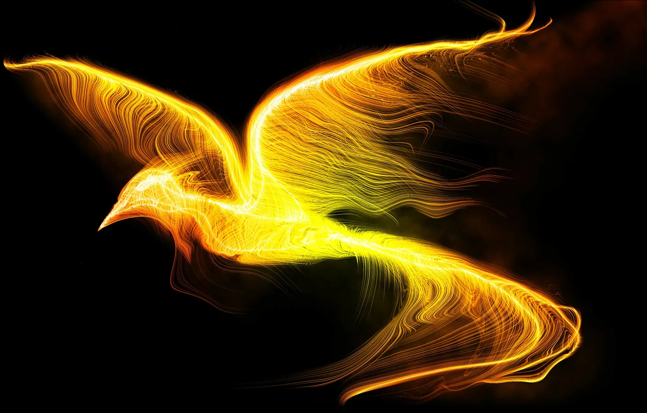 Фото обои полет, фантастика, огонь, птица, крылья, черный фон, феникс