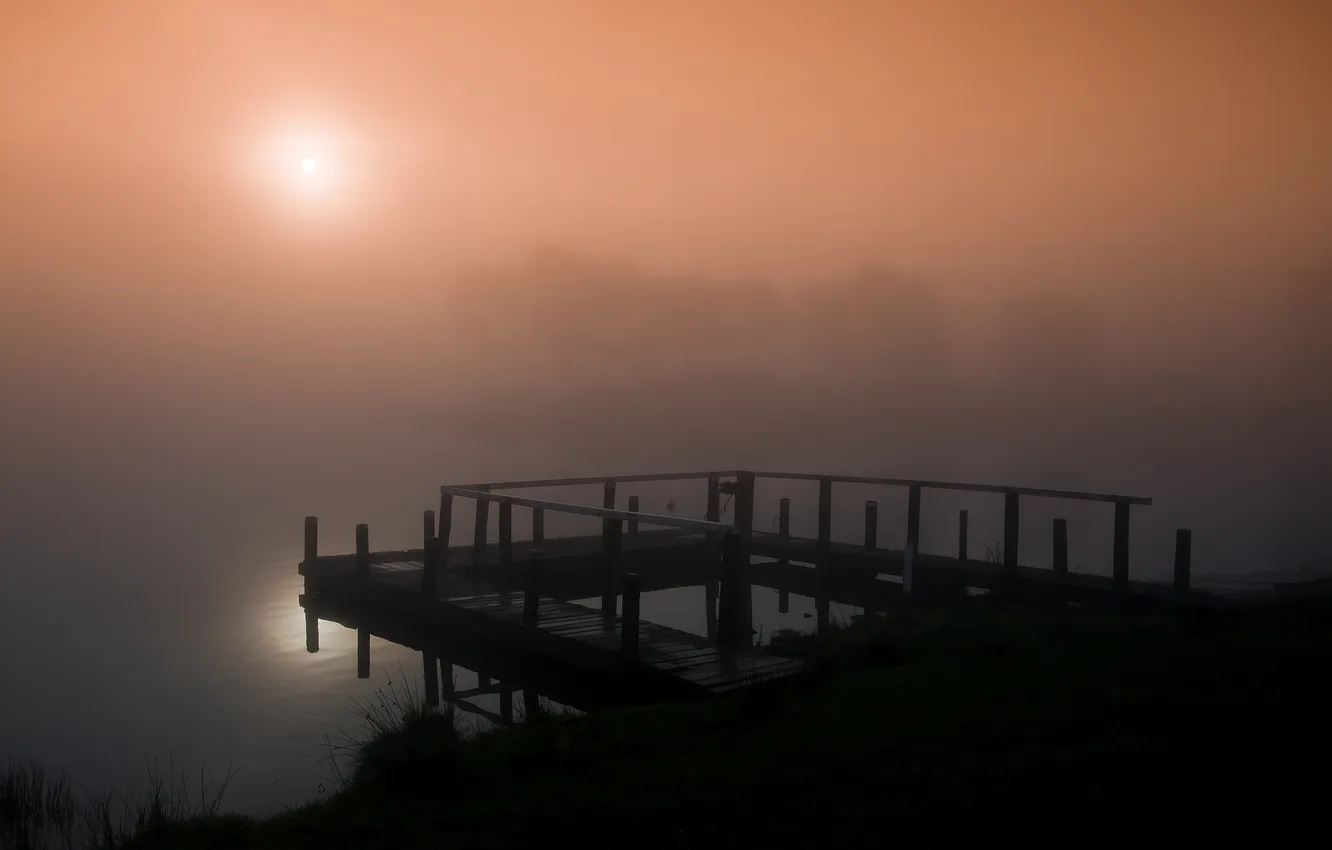 Фото обои солнце, деревья, туман, озеро, рассвет, берег, утро, Шотландия