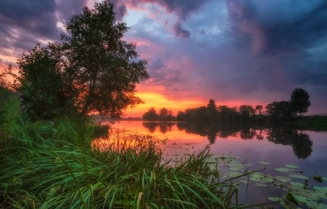 Фото обои трава, пейзаж, закат, природа, река
