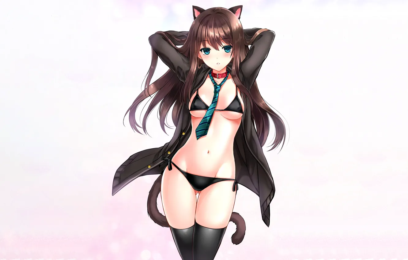 Фото обои girl, sexy, lingerie, pantsu, bra, cleavage, panties, thighhighs