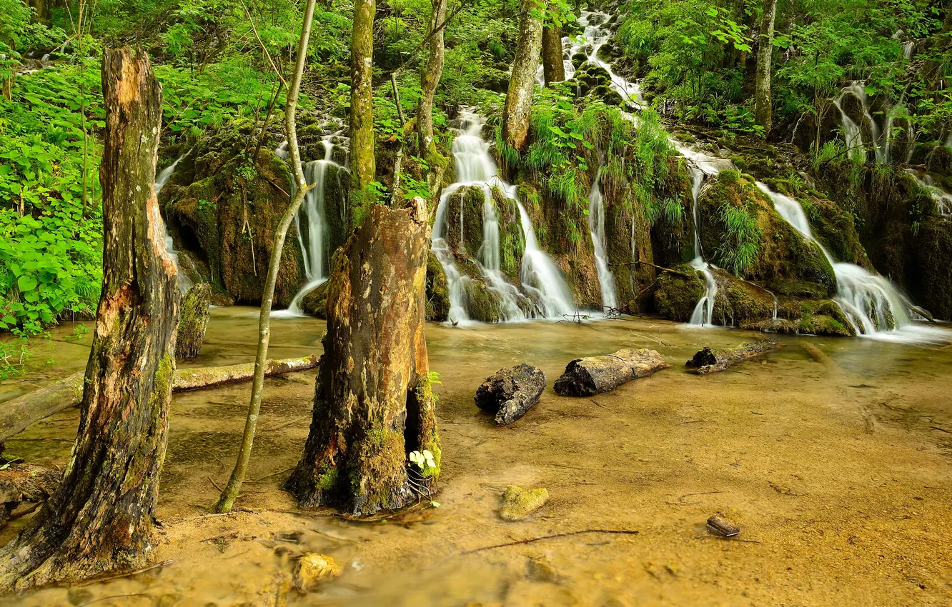 Фото обои зелень, лес, деревья, озеро, водопад, мох, Хорватия, Plitvice Lakes