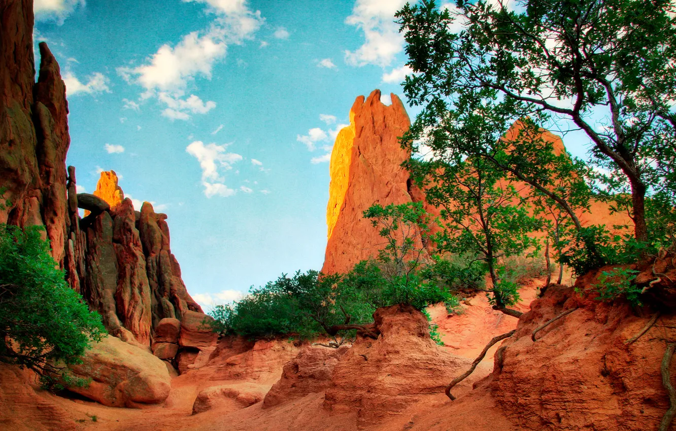 Фото обои небо, листья, облака, деревья, пейзаж, горы, скалы