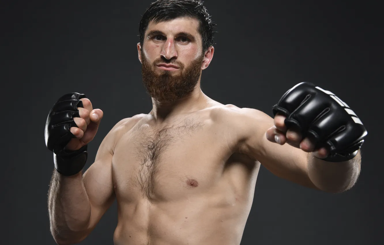 Фото обои UFC, Magomed Ankalaev, Магомед Анкалаев