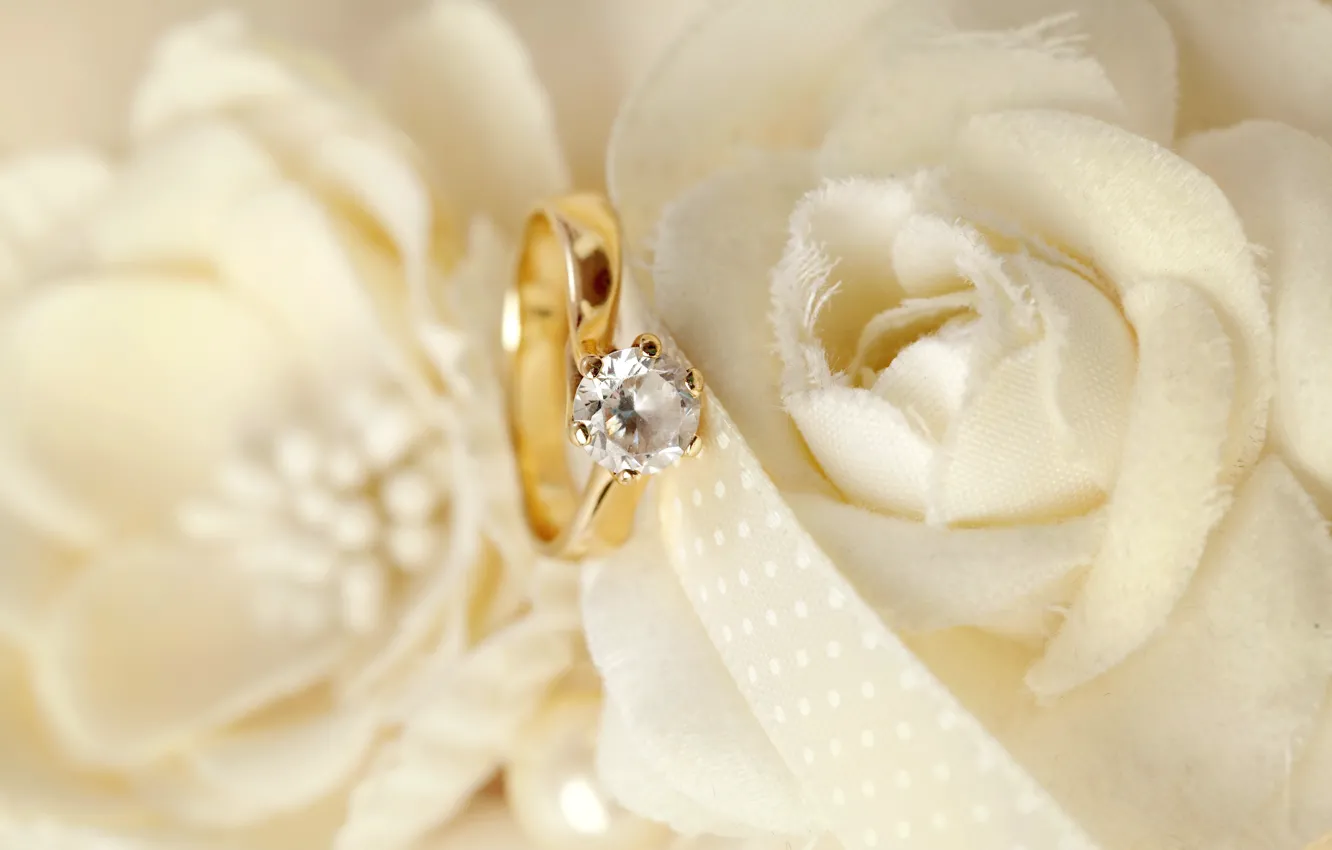 Фото обои цветы, кольца, свадьба, flowers, background, ring, soft, wedding