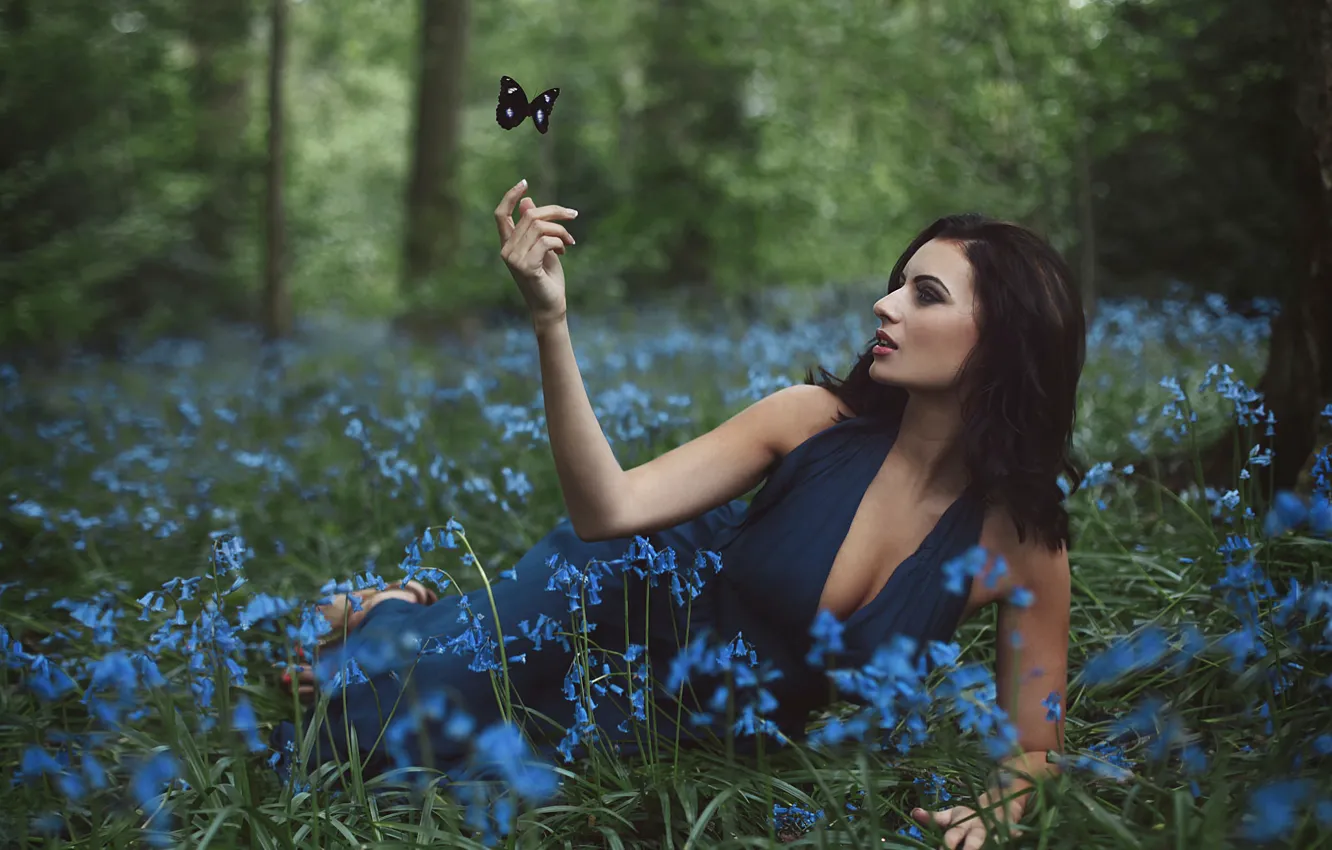 Фото обои девушка, бабочка, цветочки, Amy Spanos