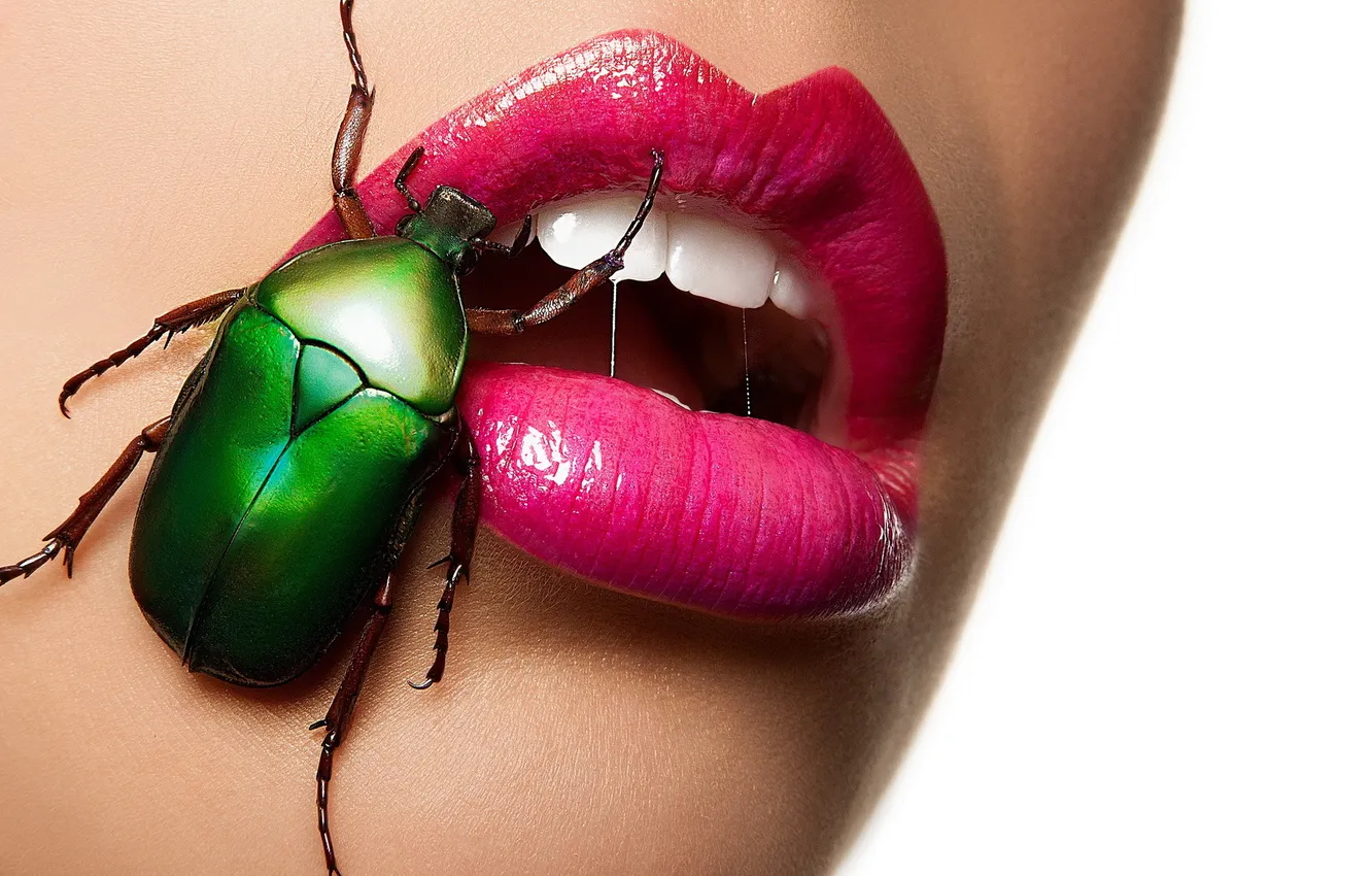 Фото обои жук, губы, Beetle Beauty