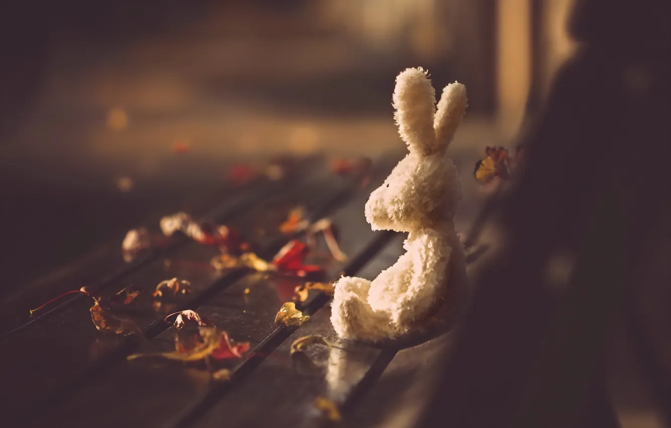 Фото обои осень, листья, игрушка, скамья