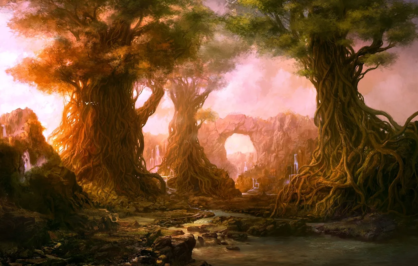 Фото обои лес, деревья, закат, корни, река, арка, водопады