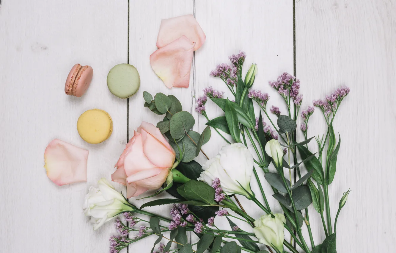 Фото обои белый, фон, розы, букет, wood, macaron