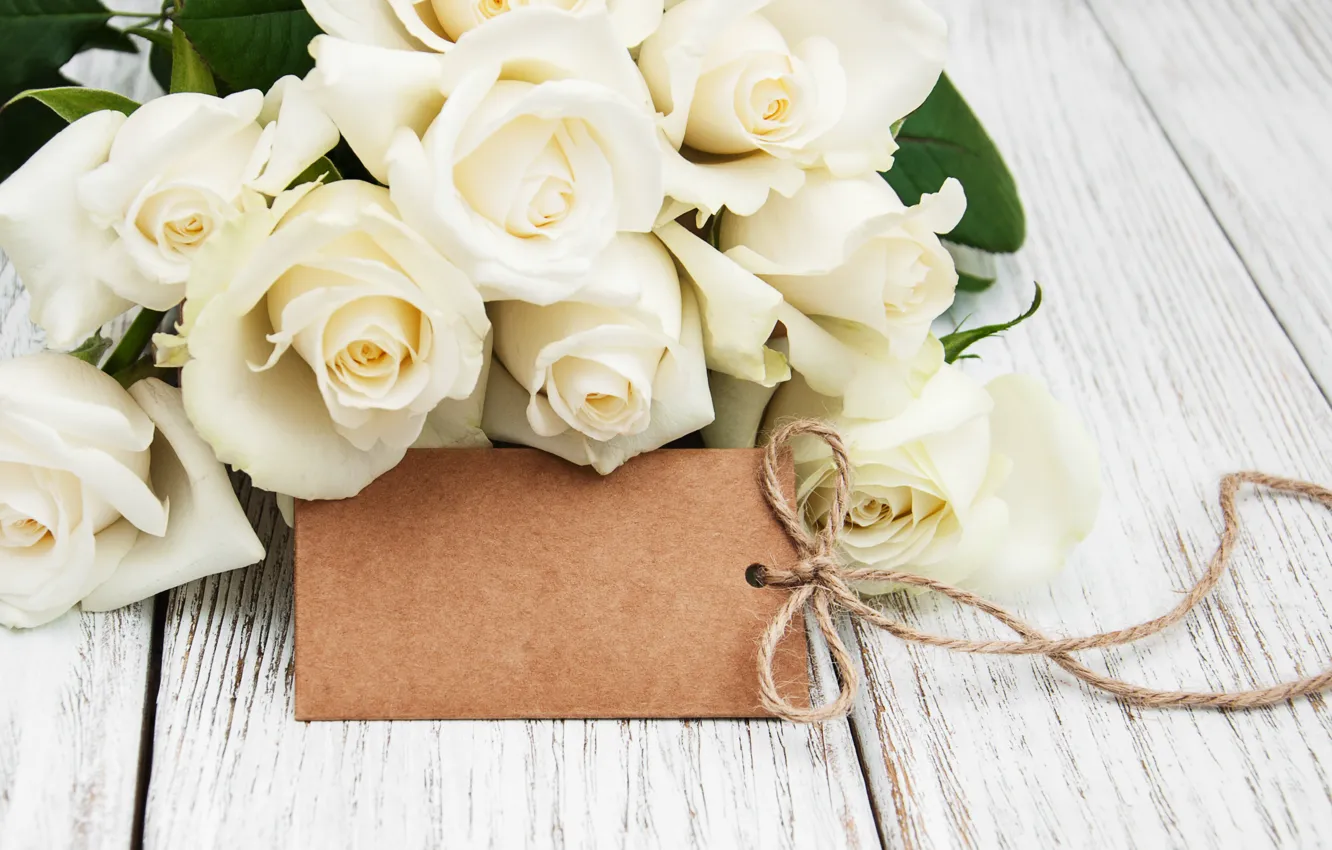 Фото обои розы, love, white, бутоны, белые розы, flowers, romantic, roses