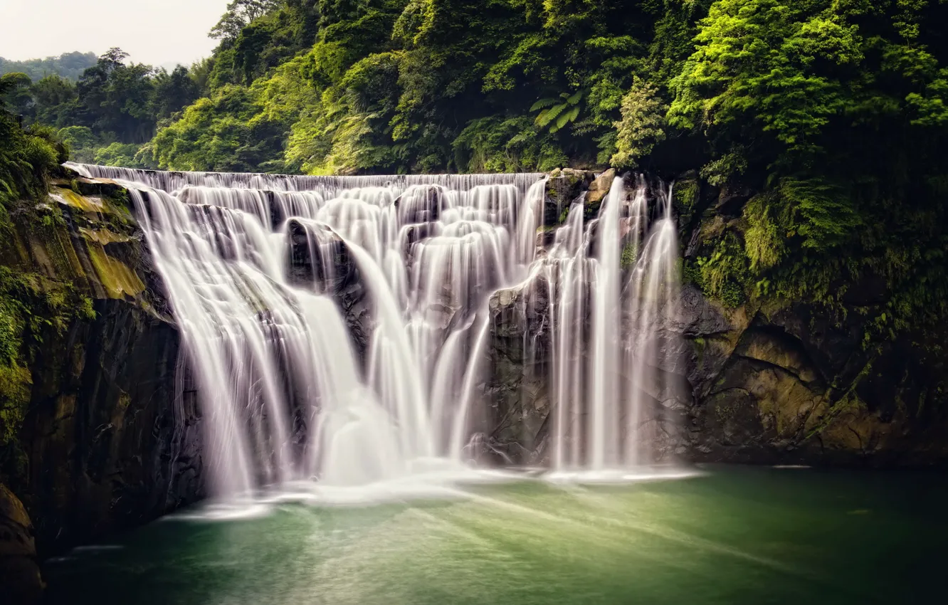 Фото обои лес, природа, водопад, джунгли, Taiwan, Shifen Waterfall