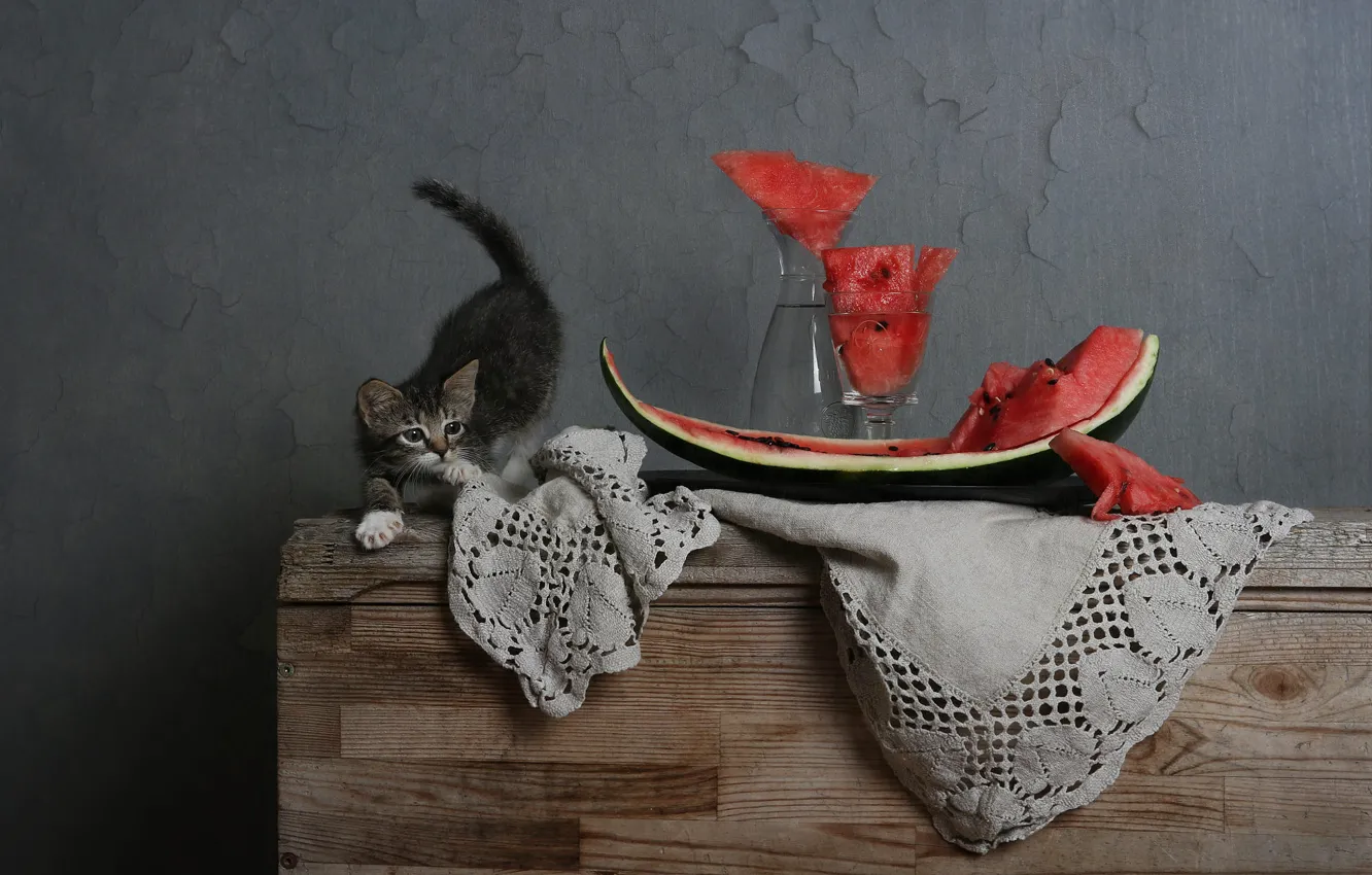 Фото обои кошка, поза, котенок, серый, стена, бокал, арбуз, ткань