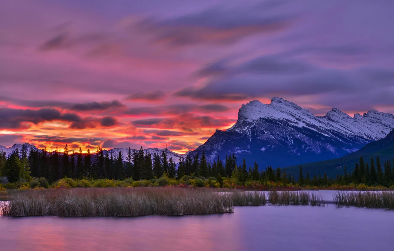 Фото обои sky, trees, landscape, nature, sunset, clouds, lake, Mountains