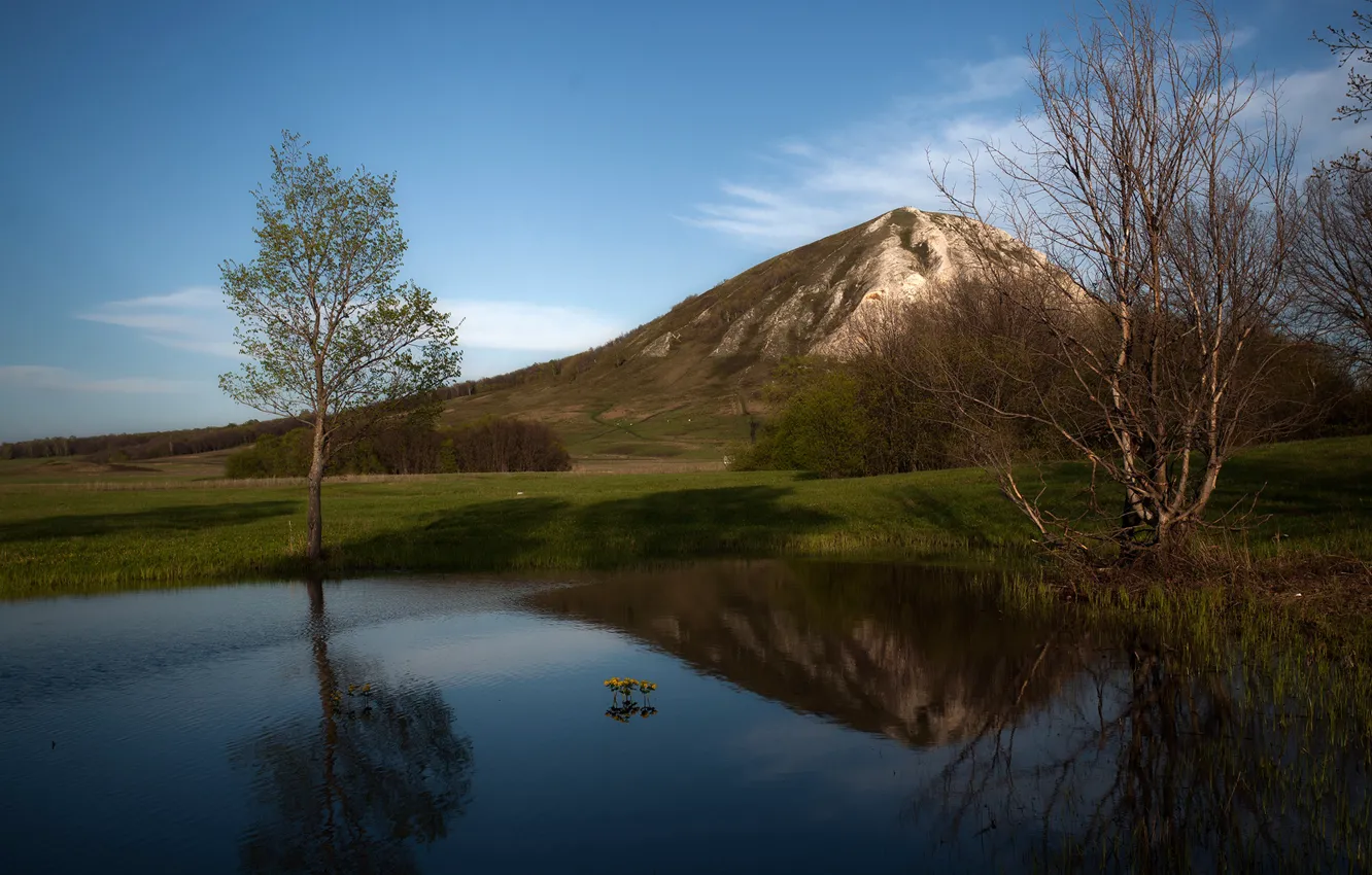 Фото обои деревья, пейзаж, природа, озеро, гора, весна, Башкортостан, Тамара Андреева
