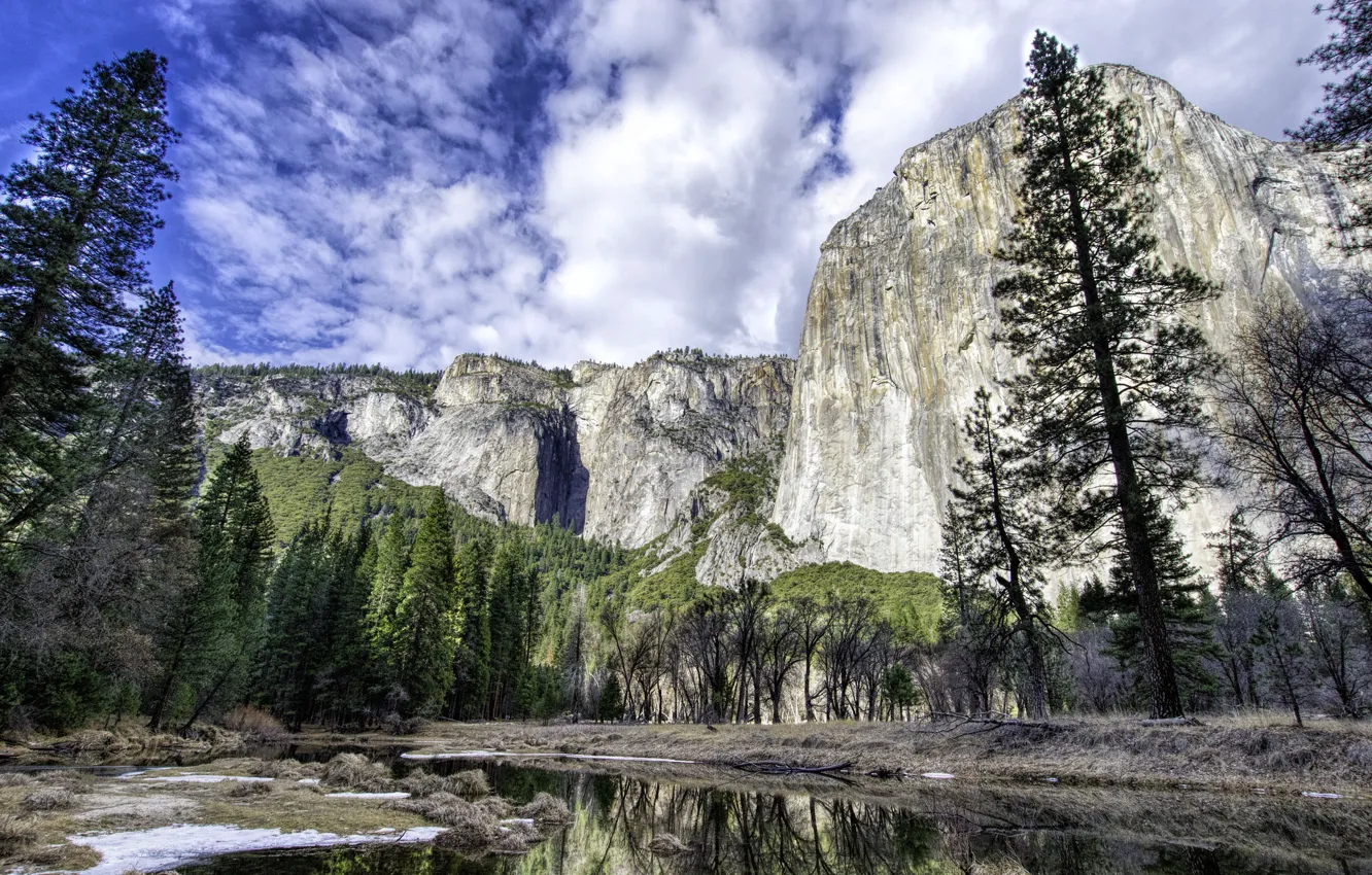 Фото обои лес, деревья, горы, река, Калифорния, США, Yosemite National Park