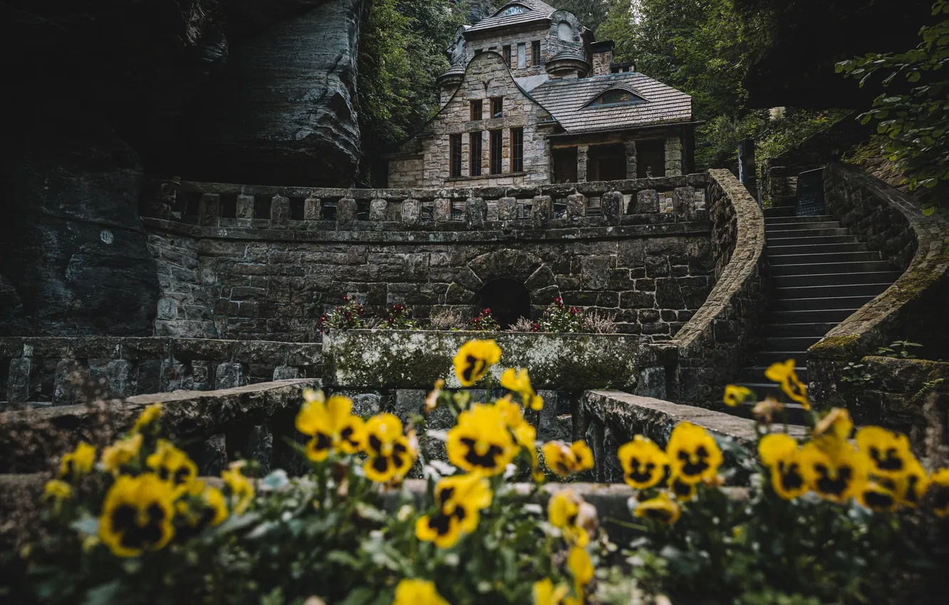Фото обои цветы, замок, лестница, анютины глазки, клумба, боке, виола