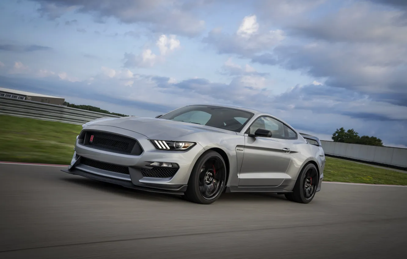 Фото обои серый, движение, Mustang, Ford, Shelby, GT350R, 2020
