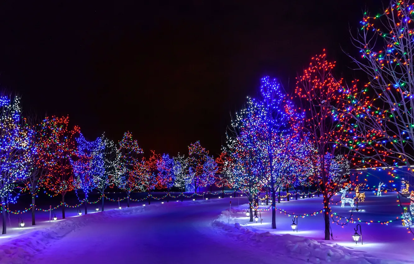 Фото обои зима, дорога, снег, деревья, ночь, город, парк, праздник