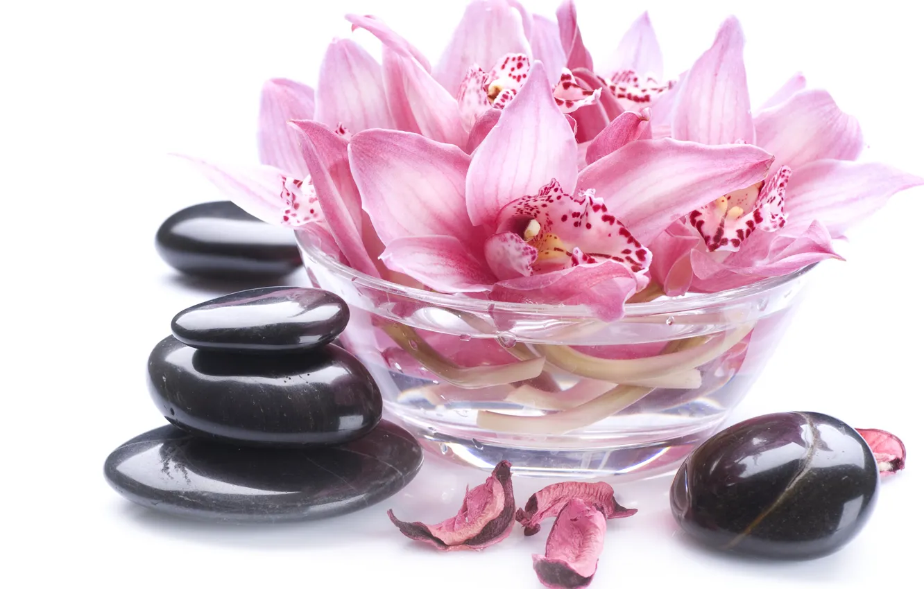 Фото обои лепестки, миска, орхидея, Orchid, petals, bowl, спа камни, Spa stones