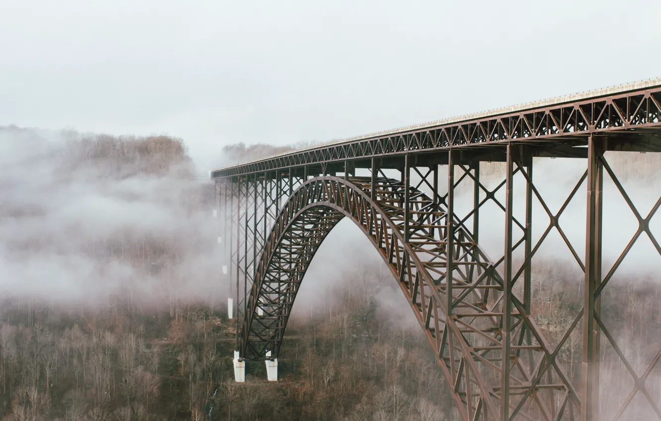 Фото обои пейзаж, мост, туман