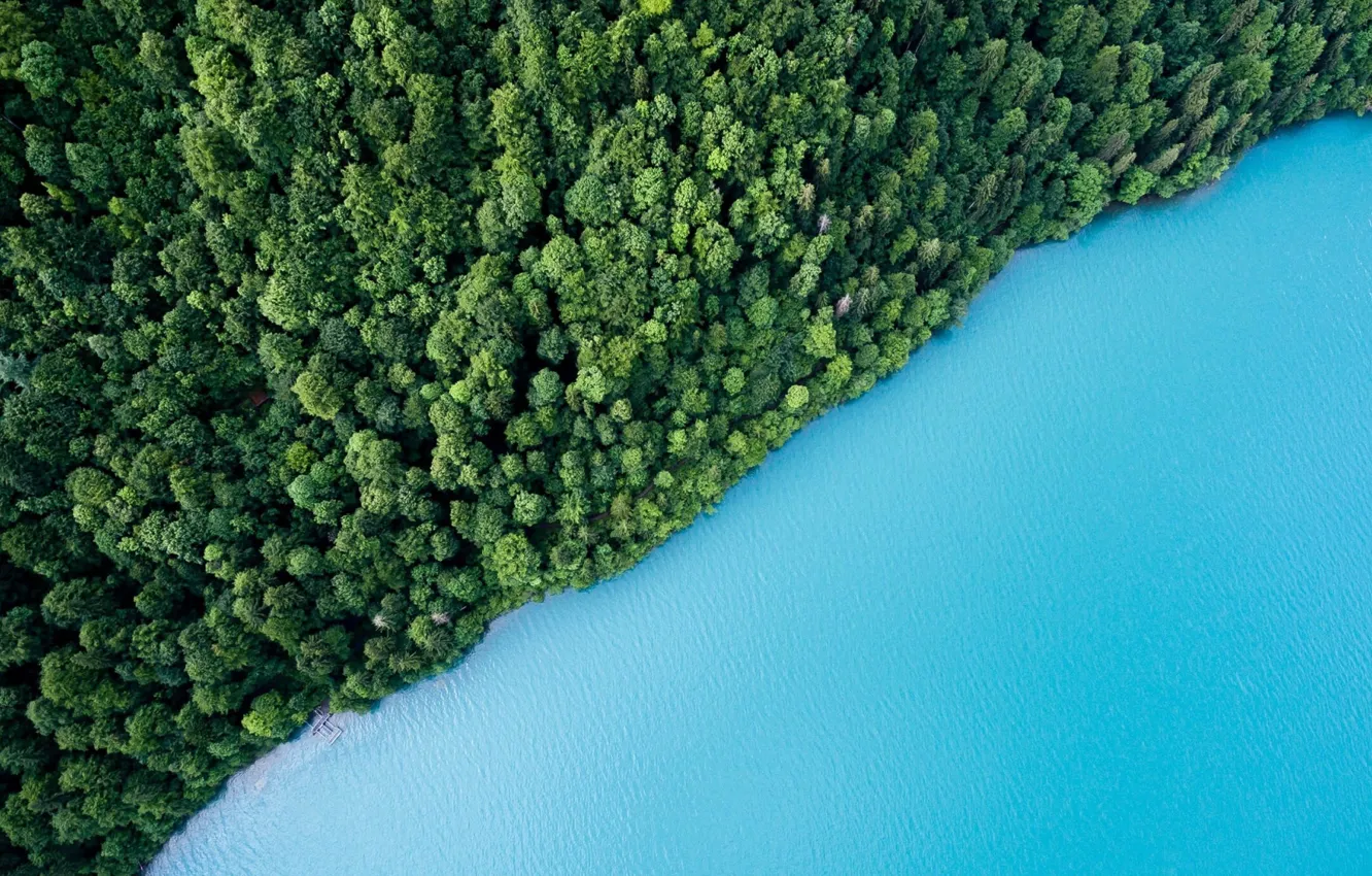 Фото обои green, colorful, forest, trees, landscape, nature, blue, water