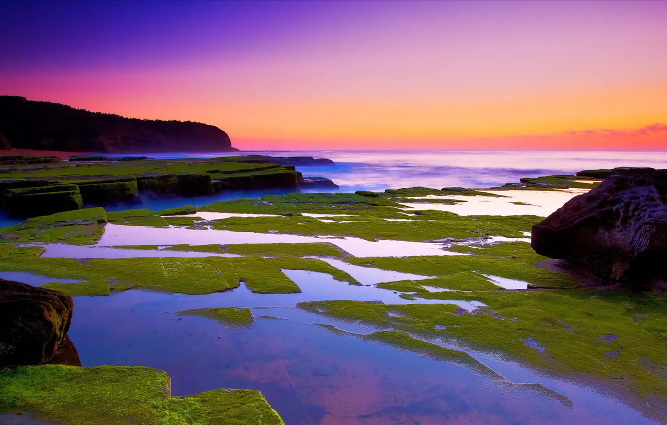 Фото обои море, пейзаж, закат, камни, мох
