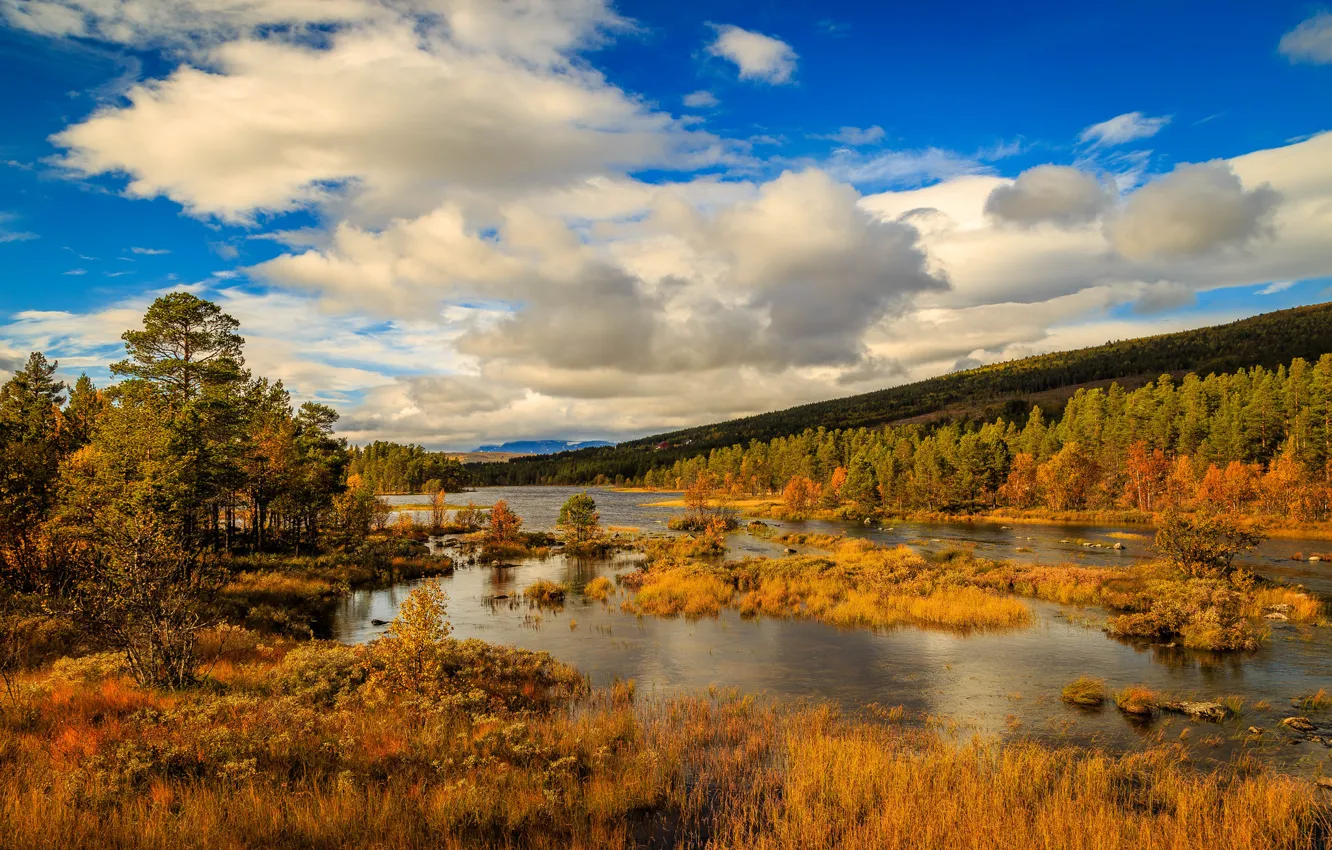 Фото обои осень, облака, деревья, горы, река, Норвегия