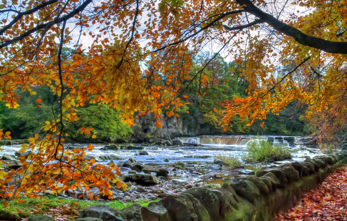 Фото обои осень, листья, река, водопад, пороги