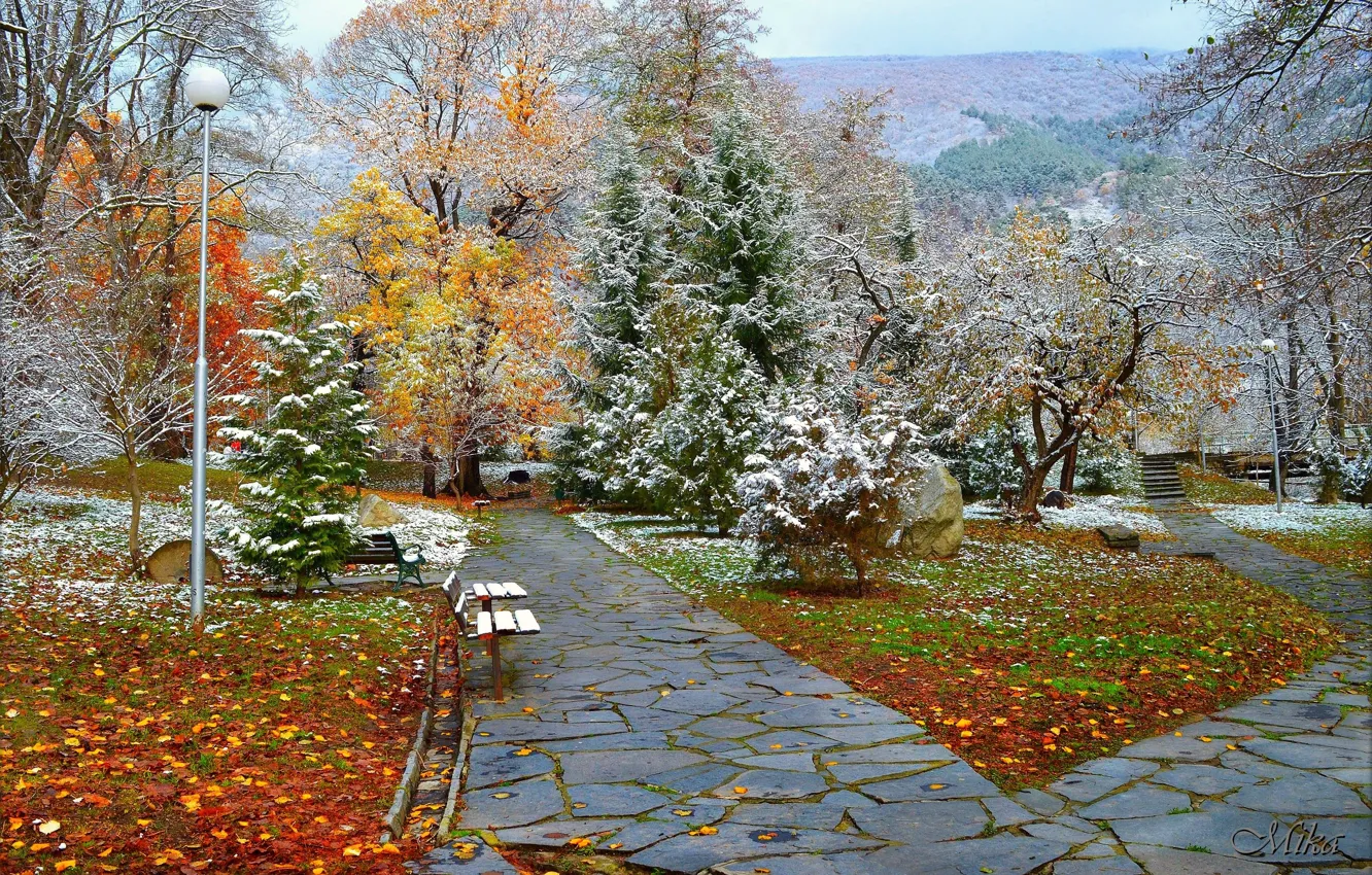 Фото обои Зима, Снег, Парк, Winter, Park, Snow, Trees, Скамейки