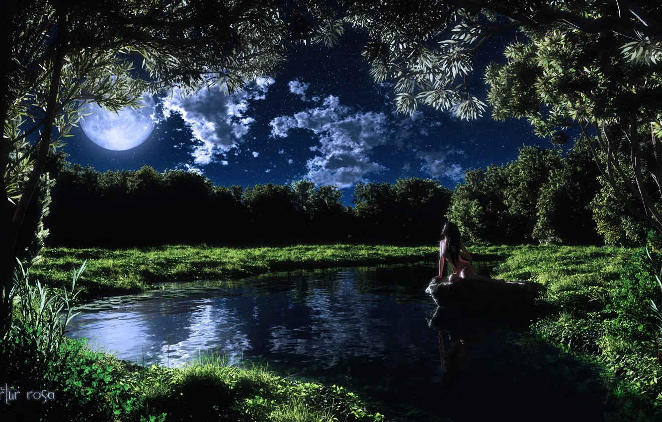 Фото обои трава, девушка, облака, деревья, ночь, озеро, луна, камень