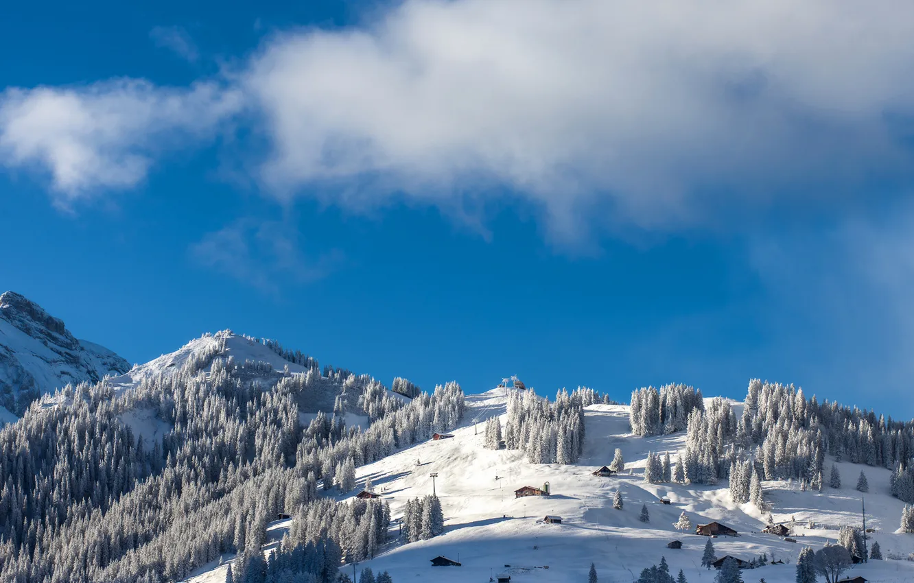 Фото обои зима, небо, облака, снег, деревья, горы, ель, Швейцария