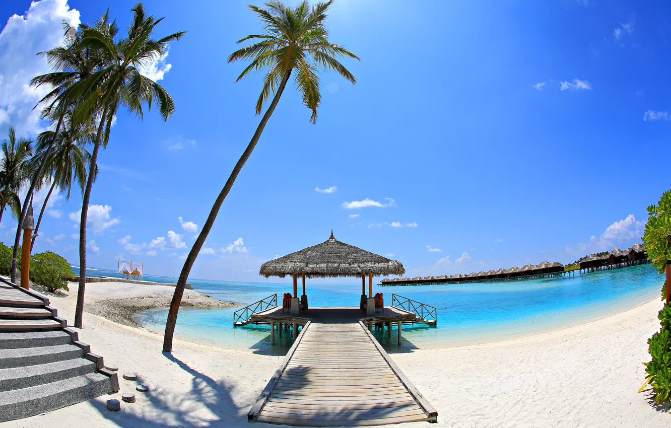 Фото обои песок, море, пляж, небо, природа, пальмы, отдых, отпуск