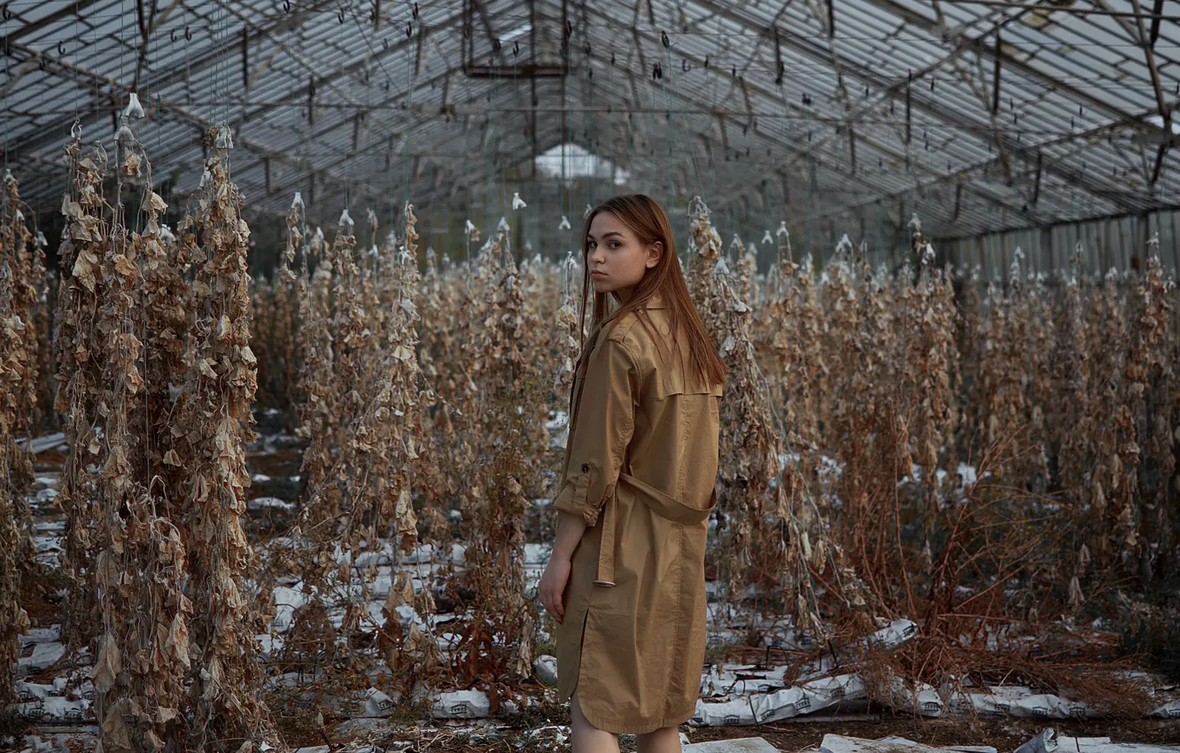 Фото обои осень, девушка, теплица, куртка, прелесть, Сергей Папиженко