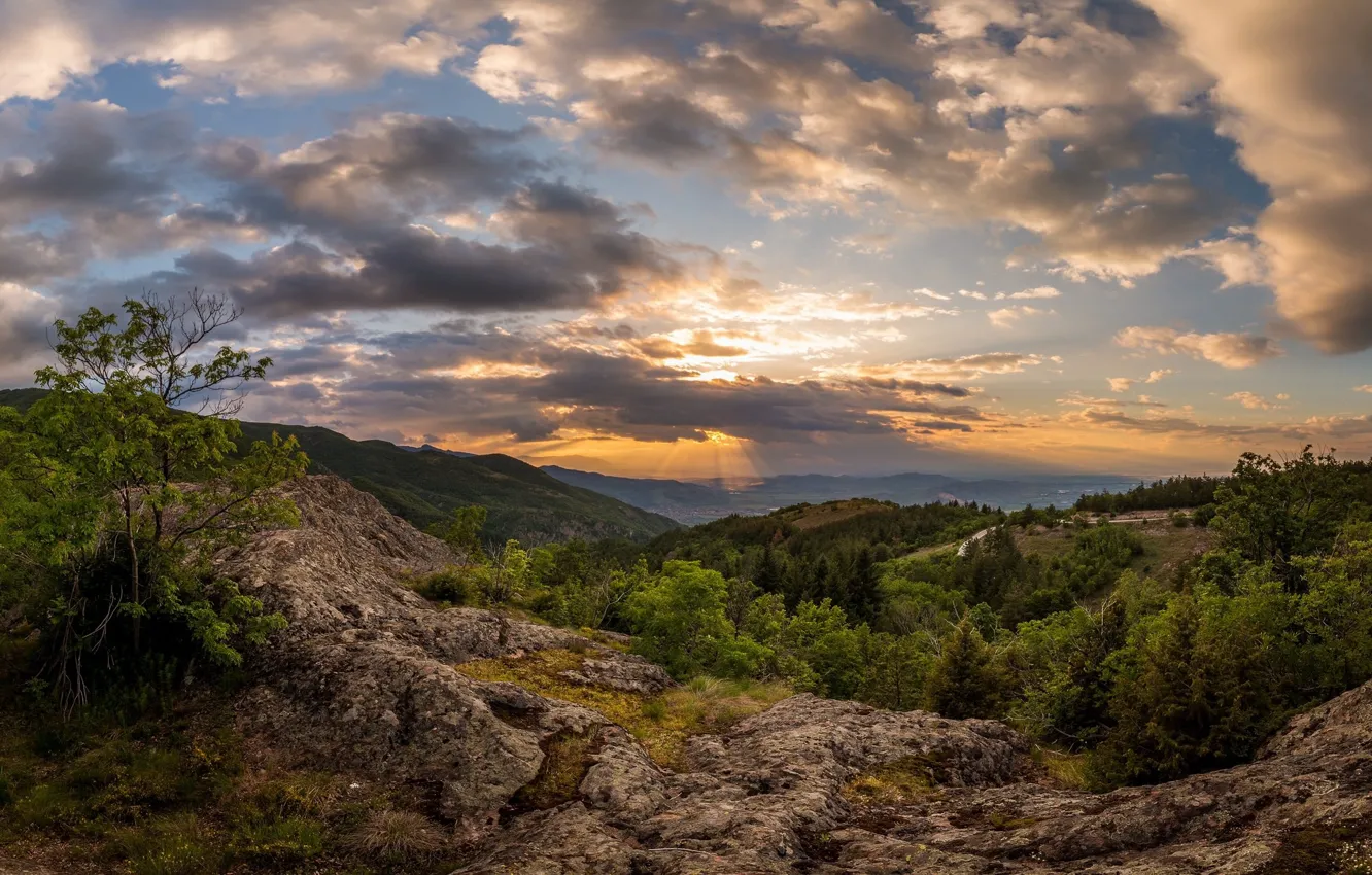 Фото обои природа, восход, утро