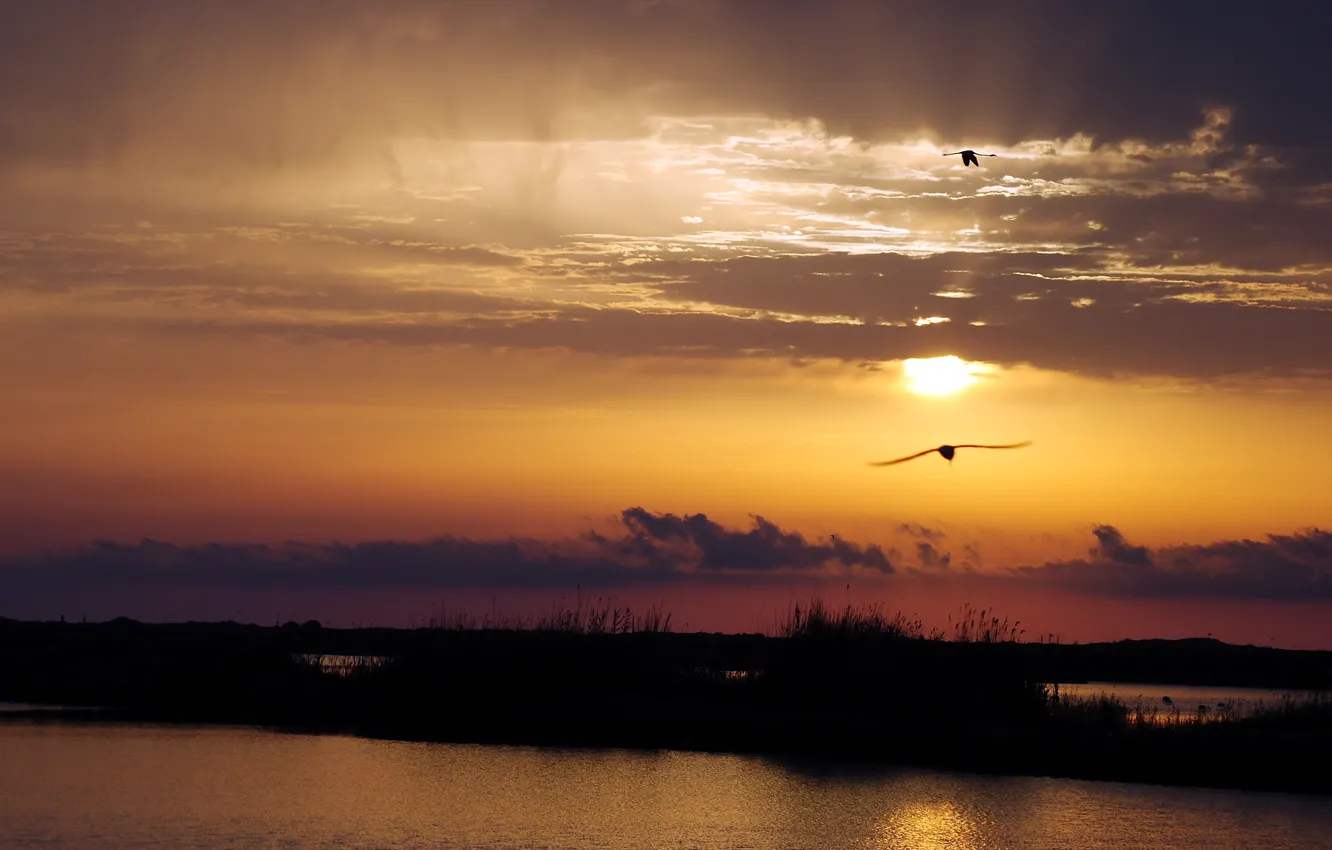 Фото обои пейзаж, закат, птицы, река