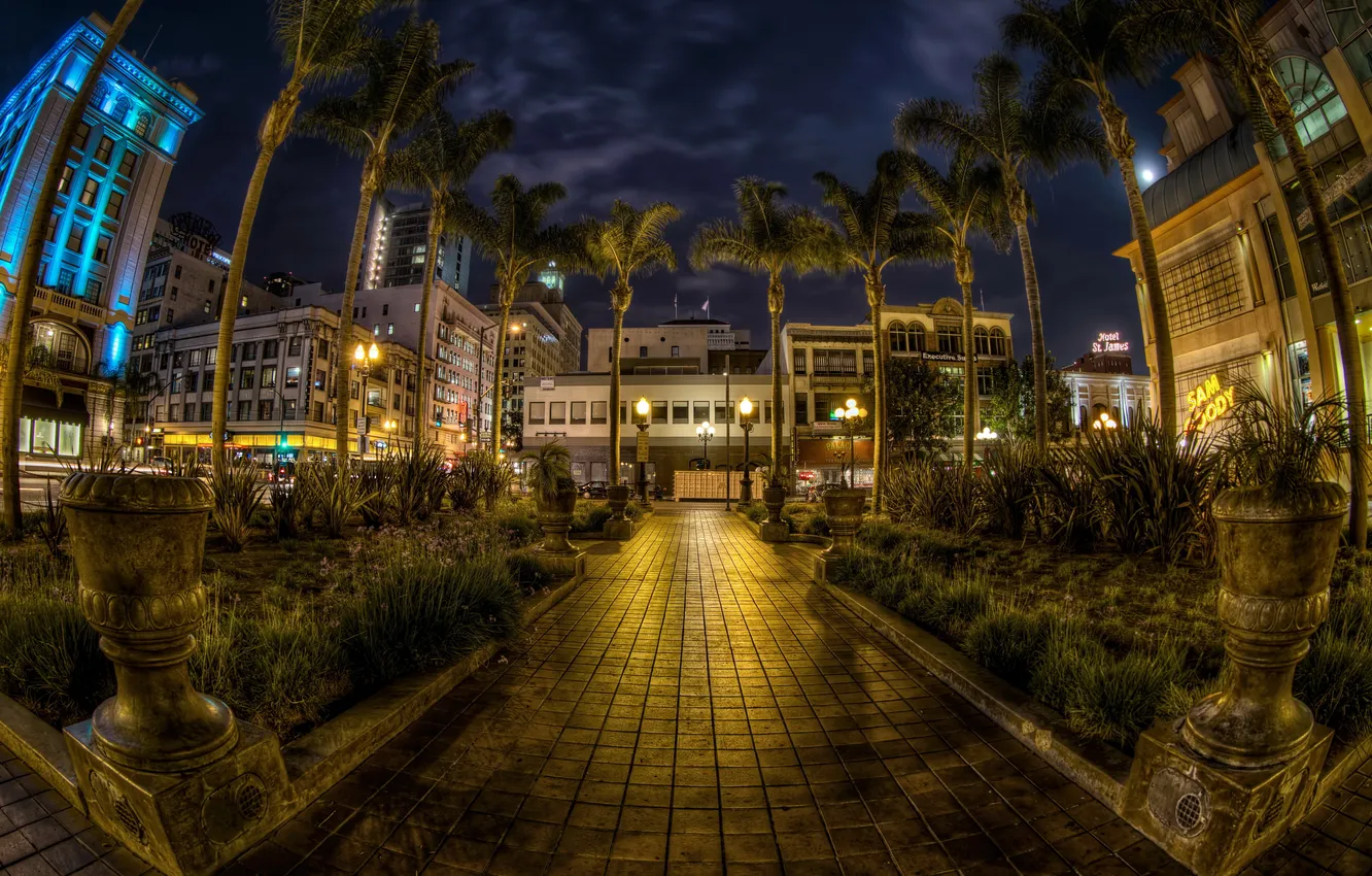 Фото обои город, пальмы, улица, фонари, USA, США, аллея