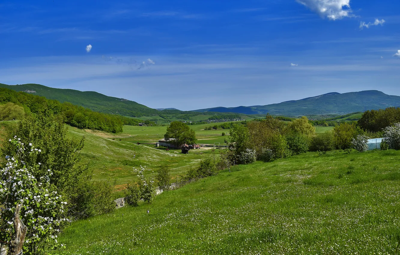 Фото обои поле, лето, небо, трава, горы, природа