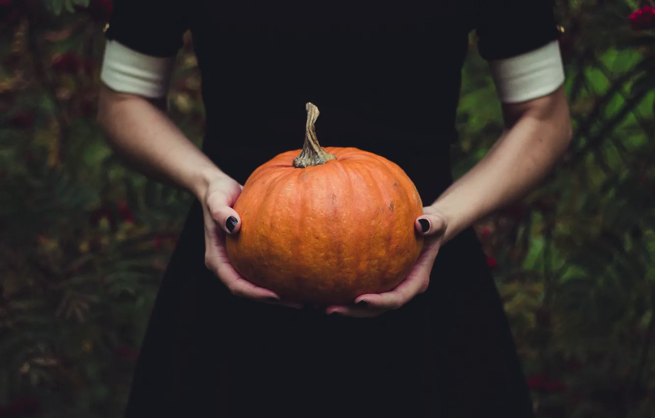 Фото обои осень, девушка, природа, поза, темный фон, праздник, магия, руки