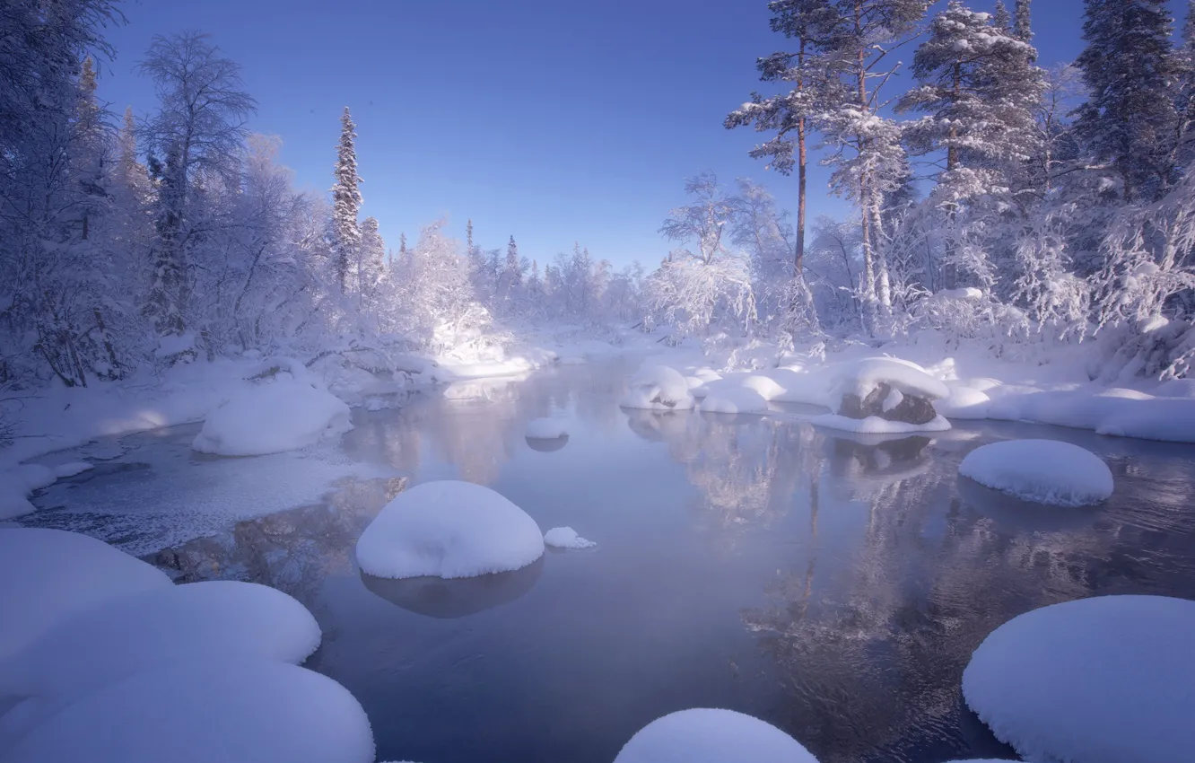 Фото обои зима, вода, снег, деревья, пейзаж, природа, Кольский полуостров