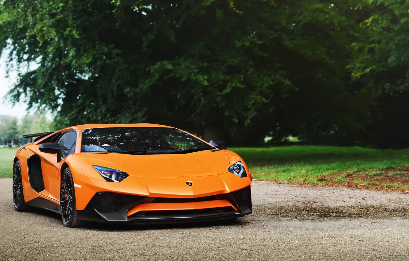 Фото обои Lamborghini, Orange, Aventador, LP750-4