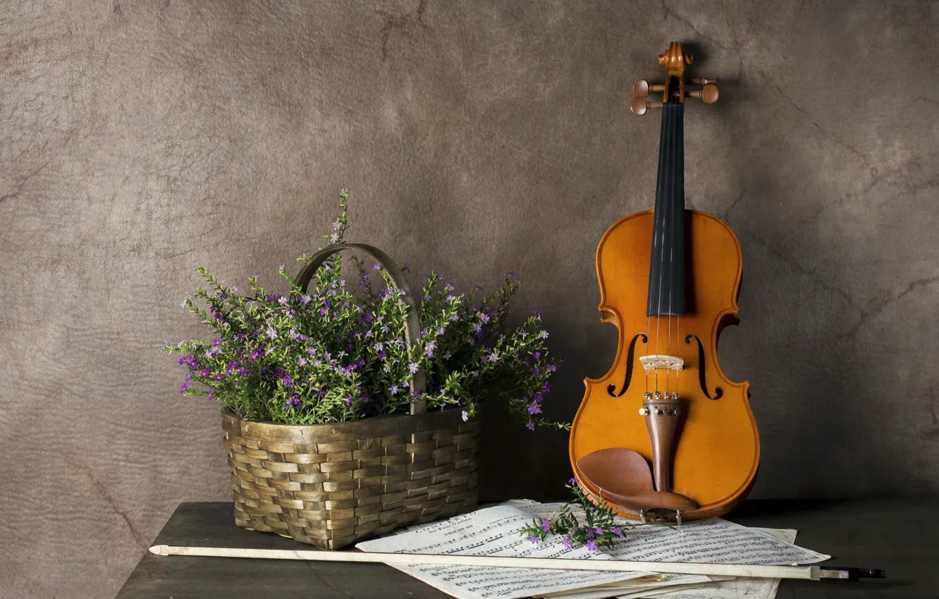 Фото обои цветы, ноты, скрипка
