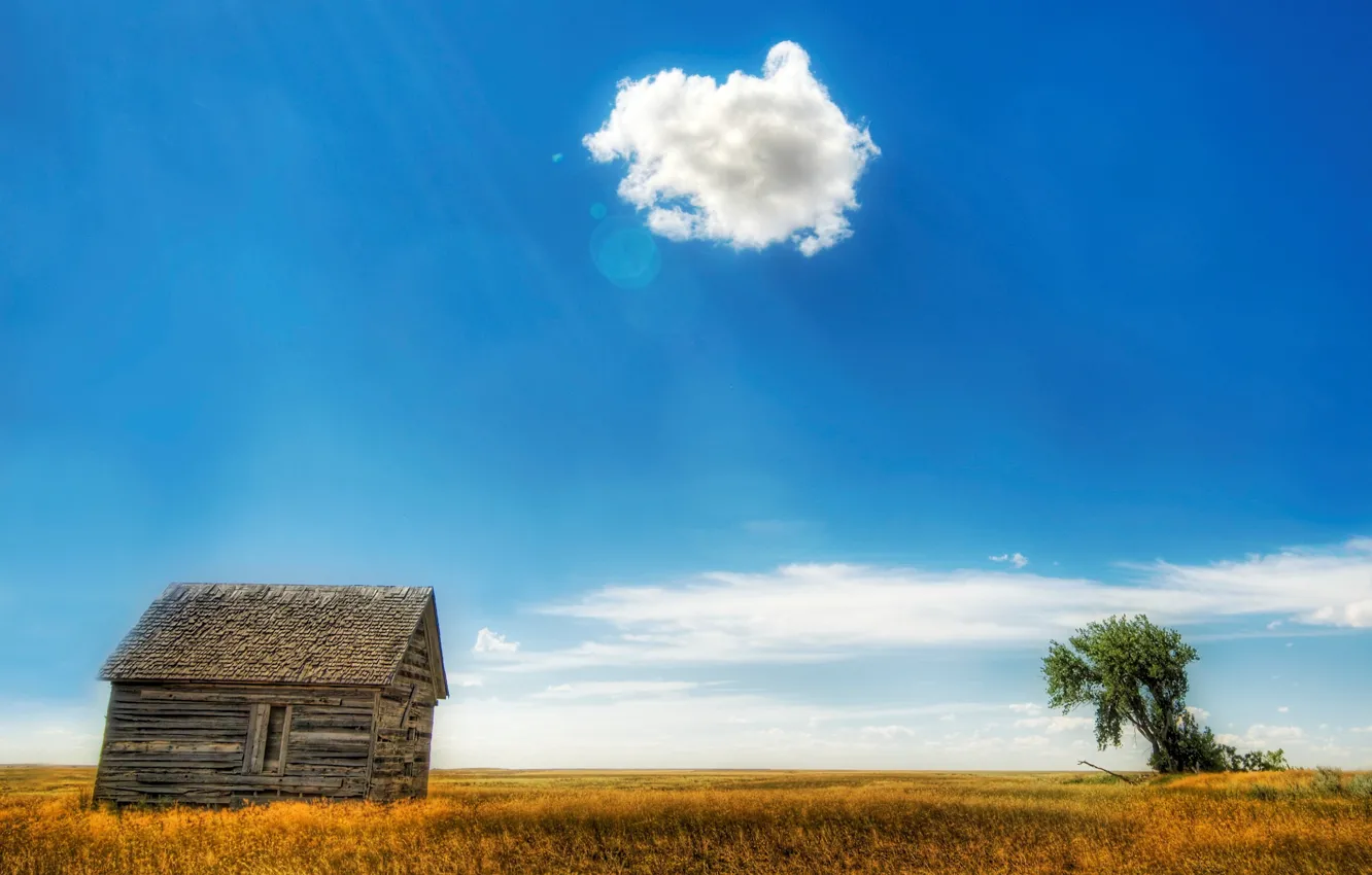 Фото обои поле, облака, дом, дерево, 153